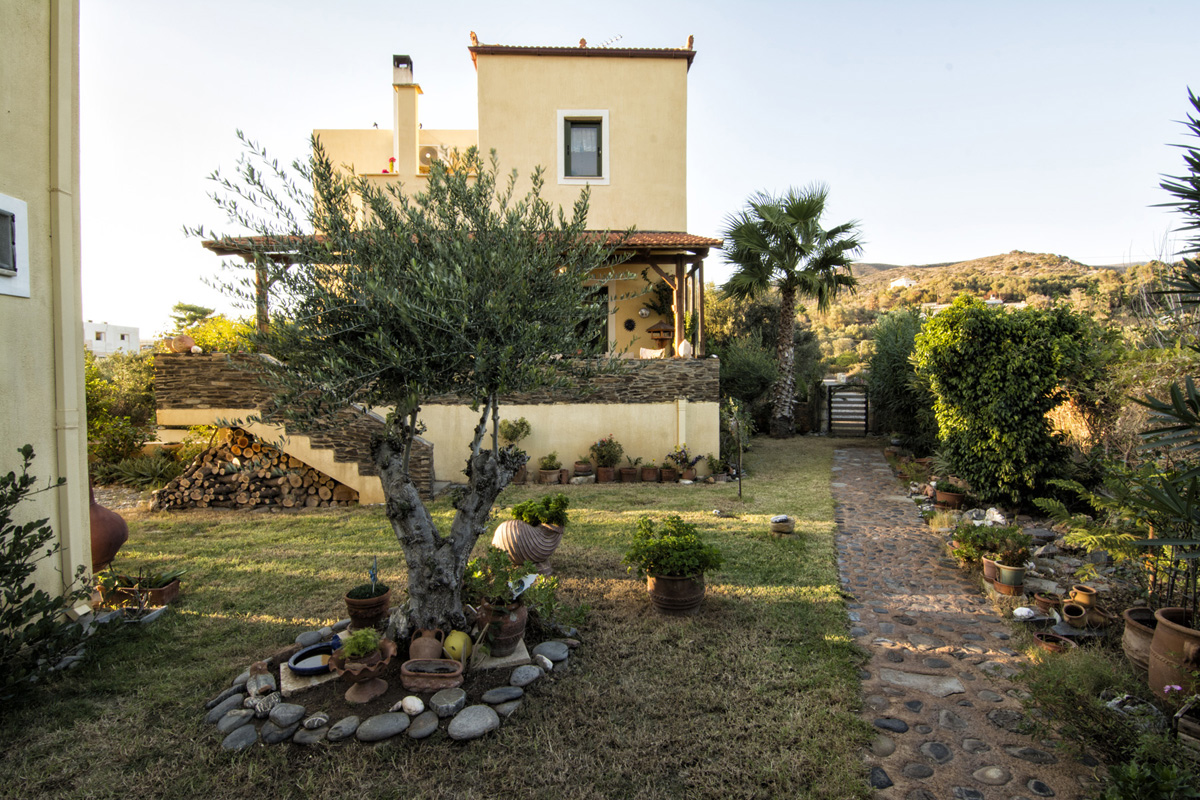 Garden view 2