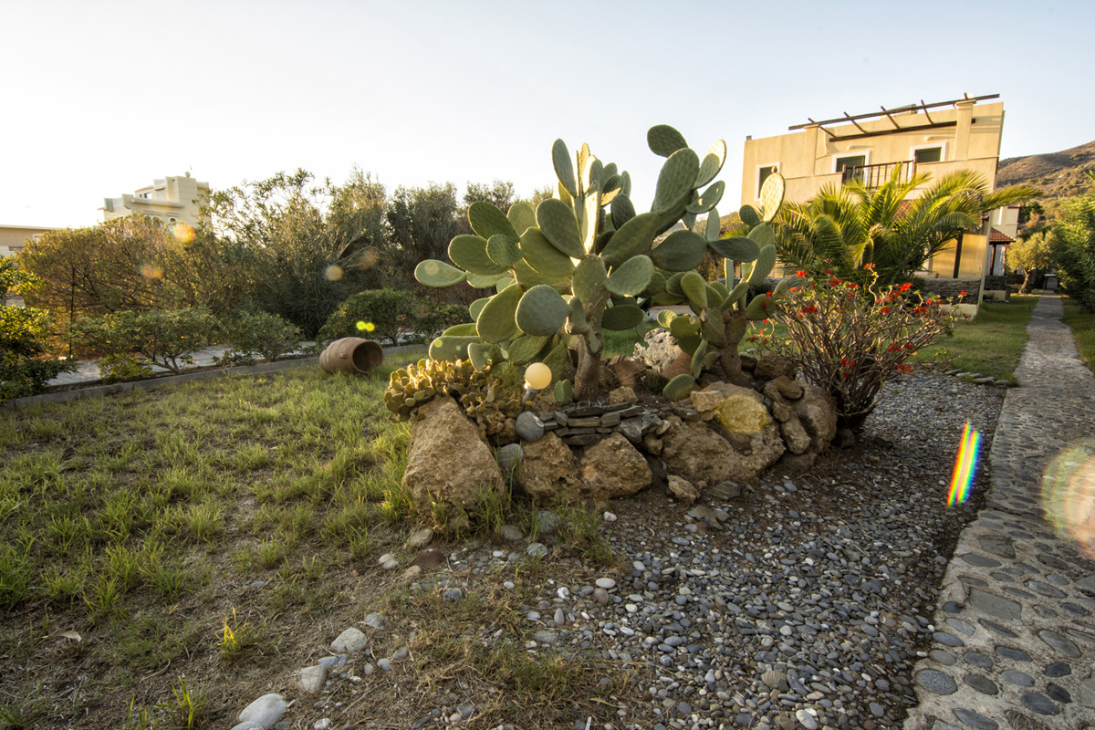 Garden with villa view